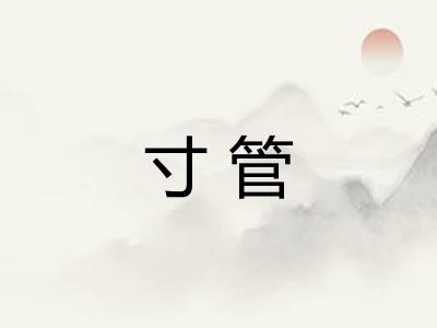 寸管