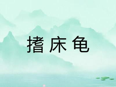 搘床龟