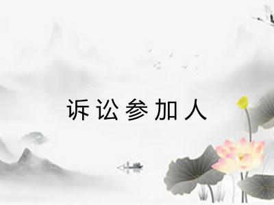 诉讼参加人