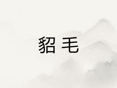 貂毛