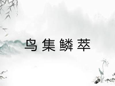 鸟集鳞萃