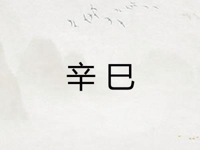 辛巳
