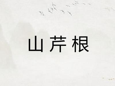 山芹根