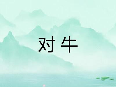 对牛