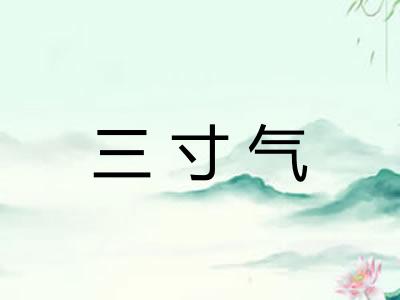 三寸气