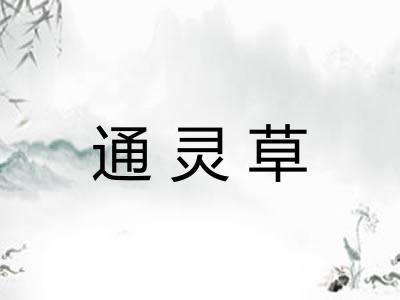 通灵草