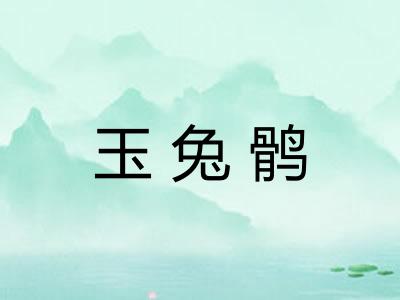 玉兔鹘