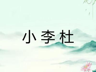 小李杜