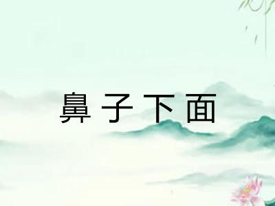 鼻子下面