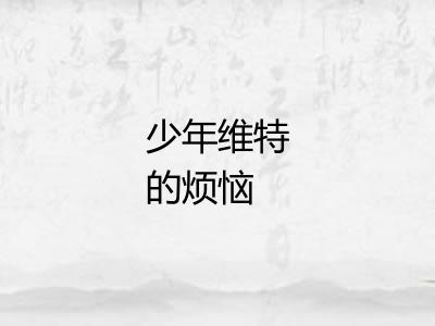 少年维特的烦恼