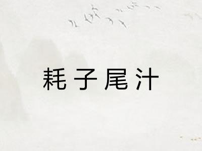 耗子尾汁