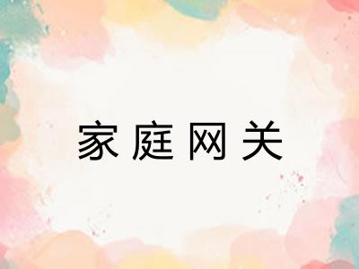 家庭网关