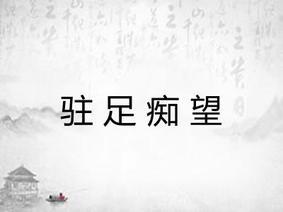 驻足痴望
