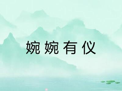 婉婉有仪