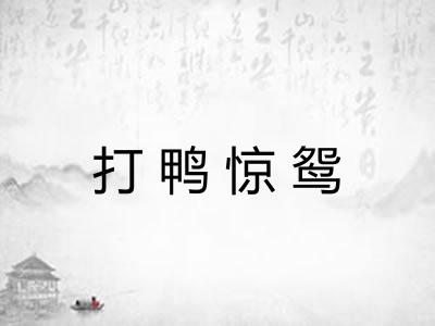 打鸭惊鸳