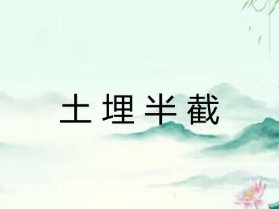 土埋半截