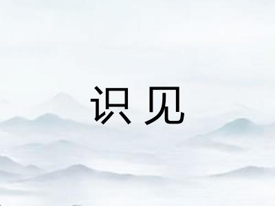 识见
