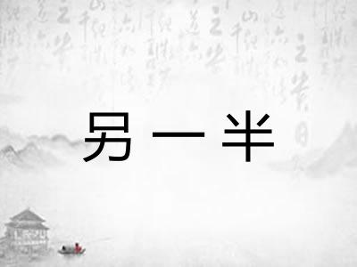 另一半