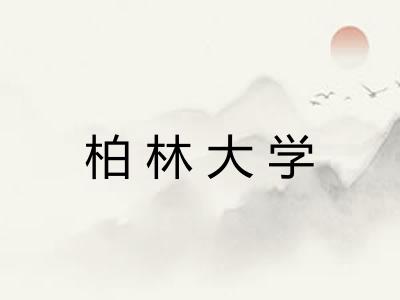柏林大学