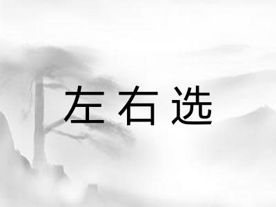 左右选