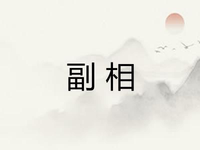 副相