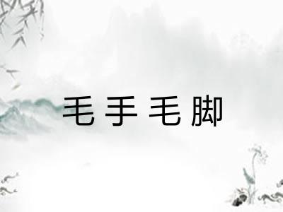 毛手毛脚