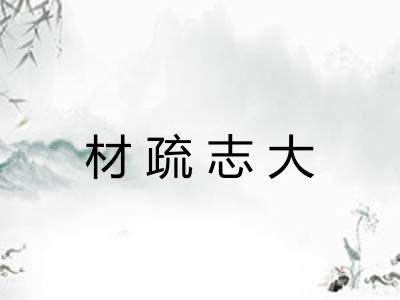 材疏志大