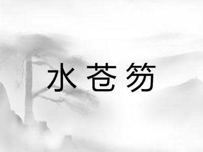 水苍笏