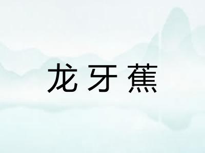 龙牙蕉