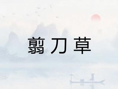 翦刀草