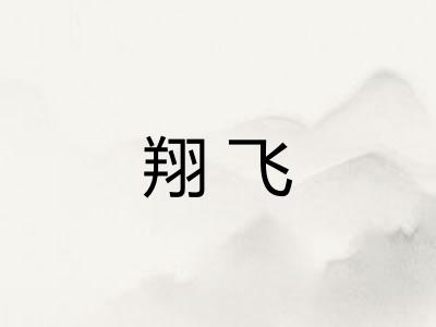 翔飞