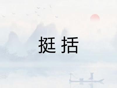 挺括