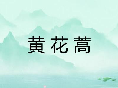 黄花蒿
