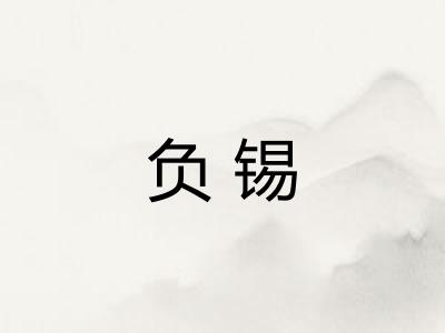 负锡