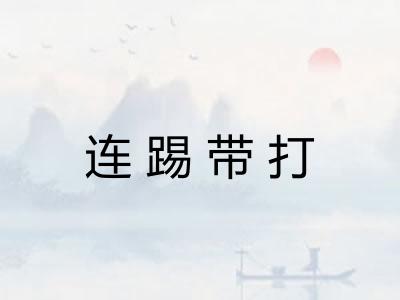 连踢带打