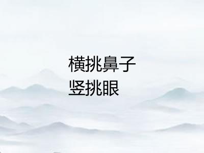 横挑鼻子竖挑眼