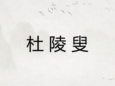 杜陵叟