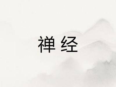 禅经