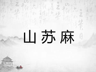 山苏麻