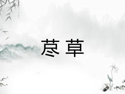 荩草