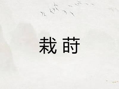 栽莳