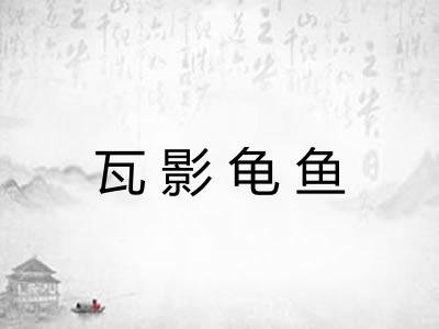 瓦影龟鱼