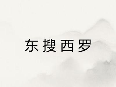 东搜西罗