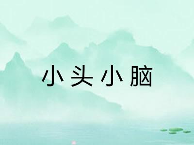 小头小脑