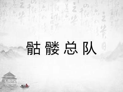 骷髅总队