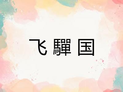 飞驒国