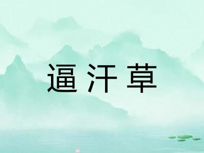 逼汗草