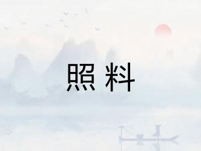 照料