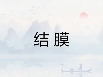 结膜