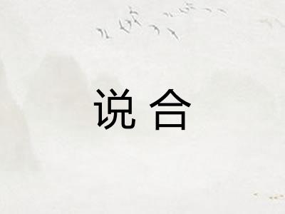 说合